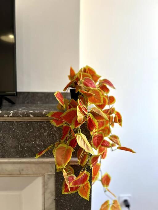 Le Toulousain 302 - Cosy En Hypercentre - Quartier Jeanne-d'arc Apartment